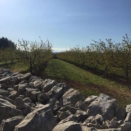 فندق Masseria Gravelle توري