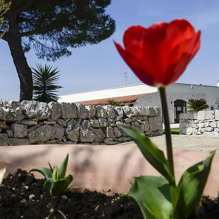 Masseria Gravelle Hotel Turi